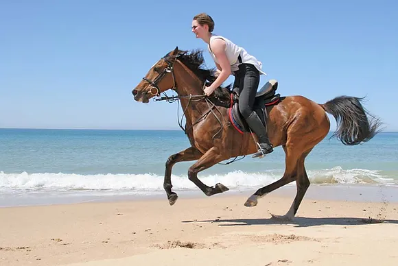 Beach Horse Riding in Dubai