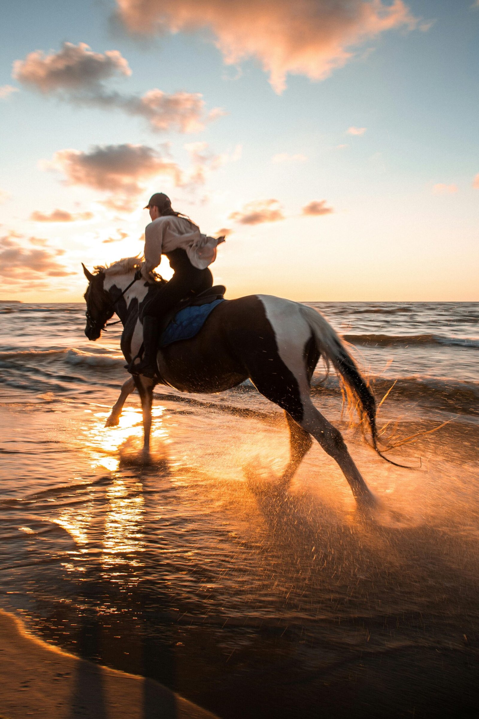 our best horses in beach riding by customers from UAE