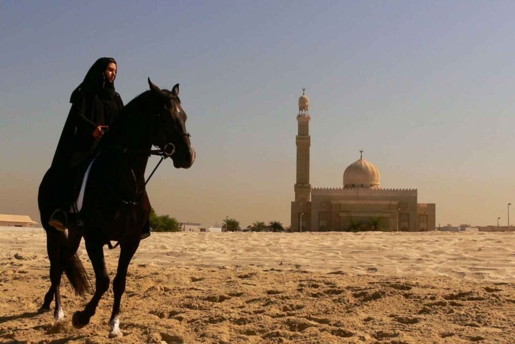 explore the horse ride in beach with high professional trainers