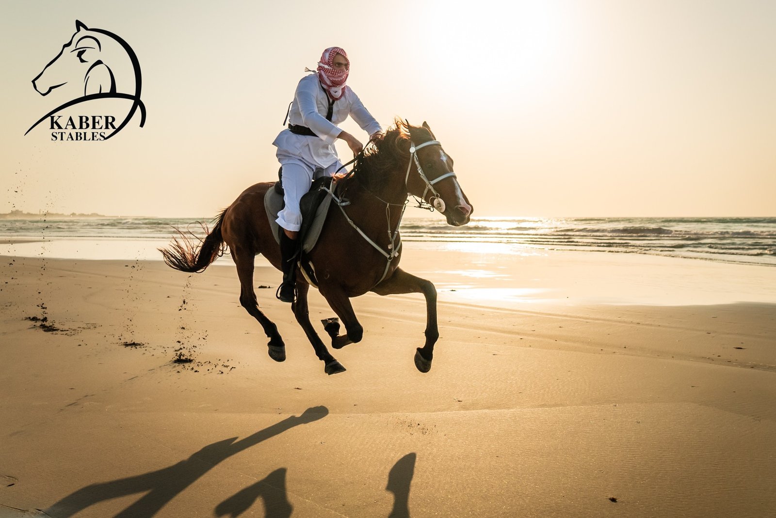 enjoy the beach horse riding in dubai